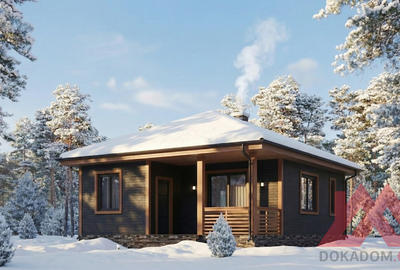 Проект каркасной бани "Тиана", 8*9м, 55 м.кв
