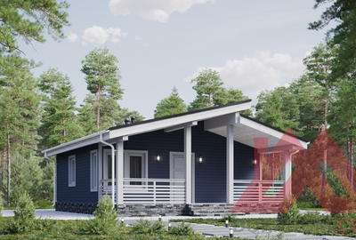 Проект каркасного дома "Альта-3", 8*9 м, 46 м.кв